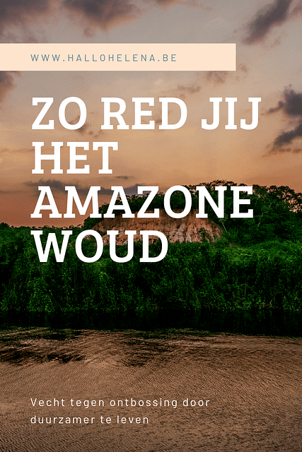 Maak jij je ook zorgen over de aanhoudende ontbossing? Ik wel. Bossen zijn de groene longen van onze planeet, ze zorgen voor zuurstof en houden ons klimaat mee onder controle. Het is dus erg zorgelijk dat er steeds meer groen verdwijnt.
Ik schrijf deze blog terwijl er enorme branden woeden in het Amazonewoud enorme branden woeden in het Amazonewoud. Iedereen maakt zich zorgen en roept op om te bidden voor het Amazonewoud. Maar om onze planeet groen te houden moeten we meer doen dan dat.
Als je denkt dat je als individu niets kan veranderen, think again. Jij bent een consument die elke dag jouw geld uitgeeft aan verschillende producten. Jouw geld is jouw kracht tegen ontbossing. Je stopt gewoon met het kopen van producten die ons groen negatief beïnvloeden. Als genoeg mensen dat doen, moet een bedrijf wel veranderen als ze nog een grote winst willen boeken.