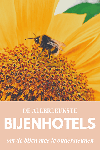 Een insecten- of bijenhotel ophangen is één van de eenvoudigste dingen die je kan doen om de natuur een handje te helpen. Je kan deze toeristische trekpleisters voor de allerkleinsten zelf maken, maar als je net als ik niet zo'n handige henriëtta bent, kan je er gewoon één (of heel veel) kopen. Dit zijn de leukste exemplaren die net iets anders zijn dan de typische huisjes.</p>
Zoals je misschien wel weet, gaat het niet goed met de bijenpopulatie. En laat die nu net essentieel zijn voor leven op deze planeet. Geen groenten, geen fruit, geen bloemen, zonder bestuiving. Als we de bijtjes kunnen helpen, dan doen we dat graag. En zeker als het op zo'n eenvoudige manier kan als een huisje op te hangen.