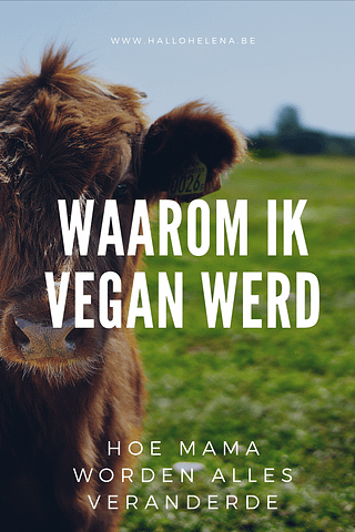 Geen dierlijke producten eten lijkt voor veel mensen onhaalbaar. Waarom zou je het ook doen? Niks lekkerder dan een boke met jonge kaas, toch? True. Maar achter lekker gaat heel wat leed schuil. Voor wie het interesseert: dit is waarom ik plantaardig ging eten en mezelf voorzichtig veganist noem.